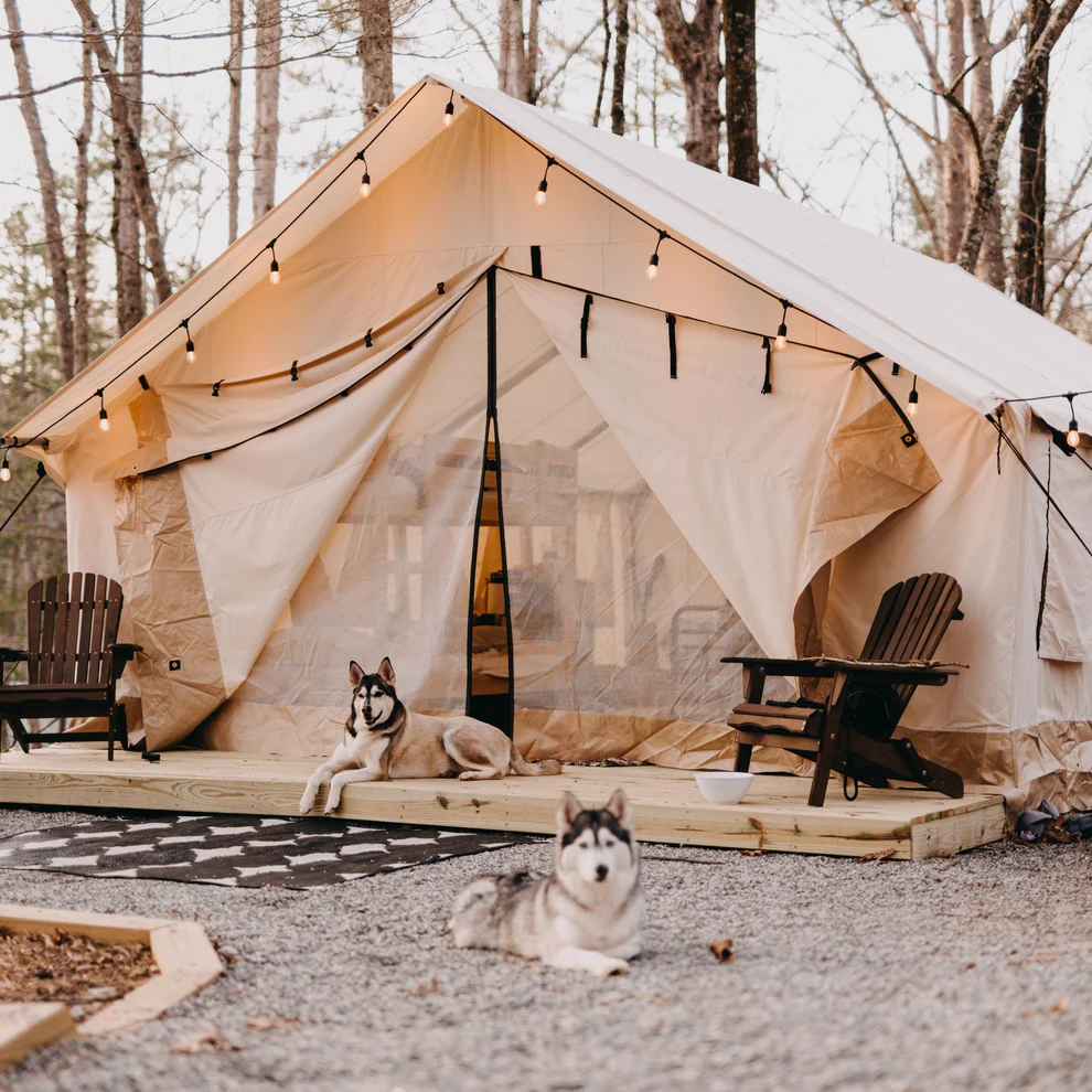 Alpha Wall Tent - Image 4